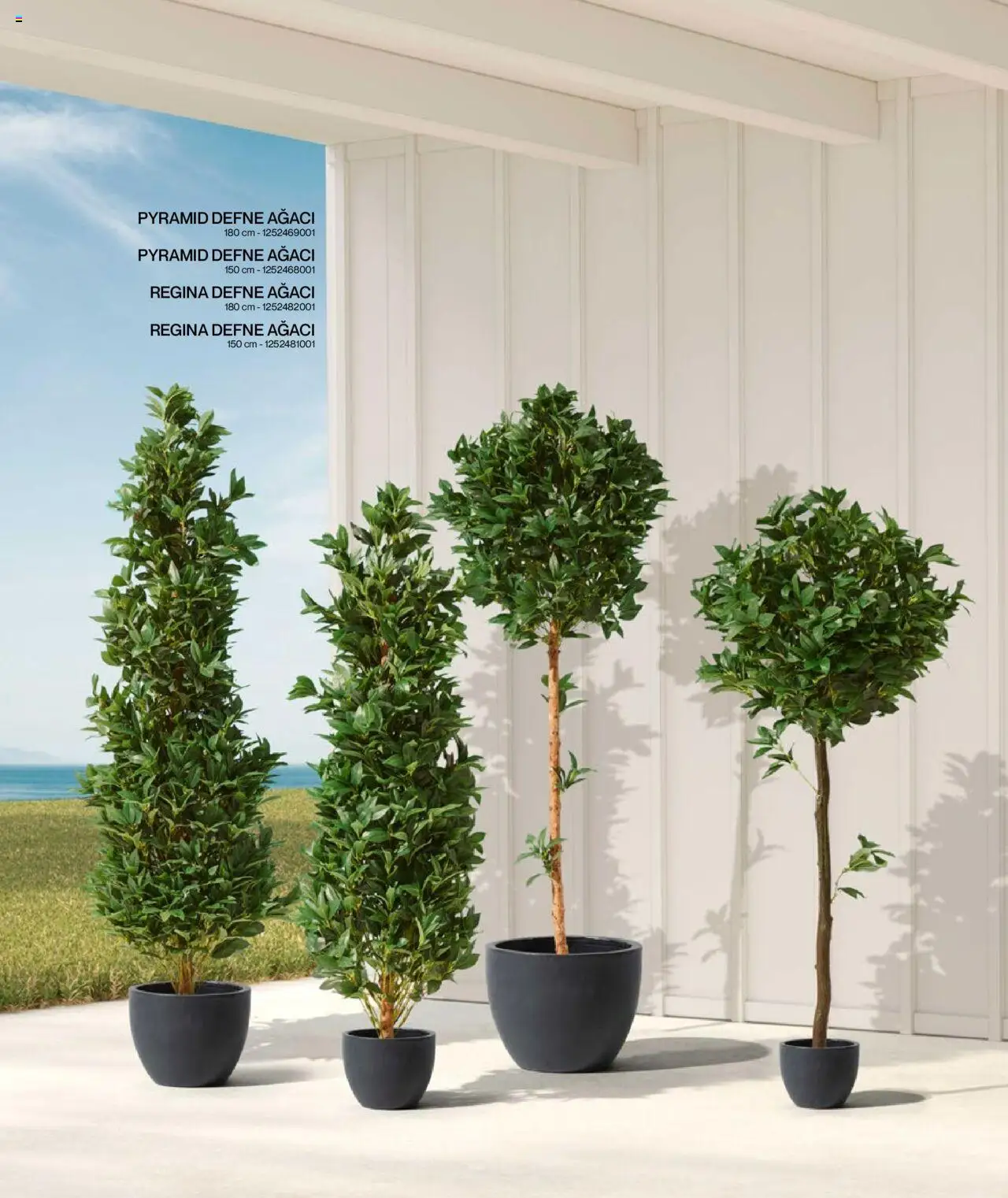 Mudo Katalog - BAHÇE 2025 - 04.06.2025 tarihinden itibaren geçerlidir | Sayfa: 160 | Ürünler: Defne