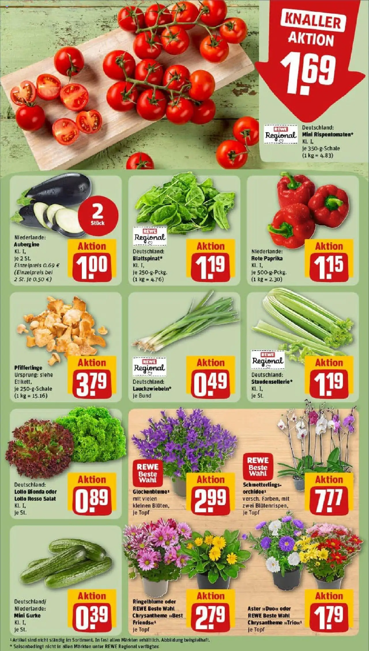 Rewe prospekt Langenhagen	 - gültig ab dem 11.08.2025 | Seite: 7 | Produkte: Paprika, Aubergine, Pfifferlinge, Salat