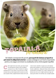 Ofertele Fressnapf valabile de la 05.05.2025 | Pagină: 32