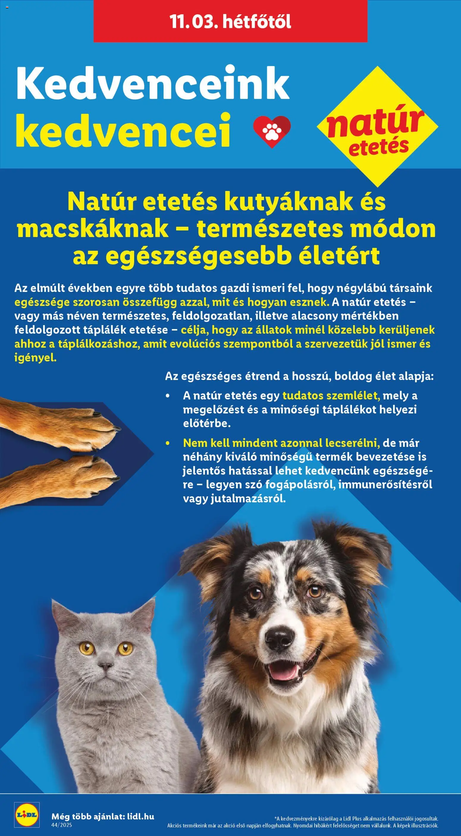 Lidl akciós ujság - amely érvényes a következő dátumtól: 30.10.2025 | Oldal: 42
