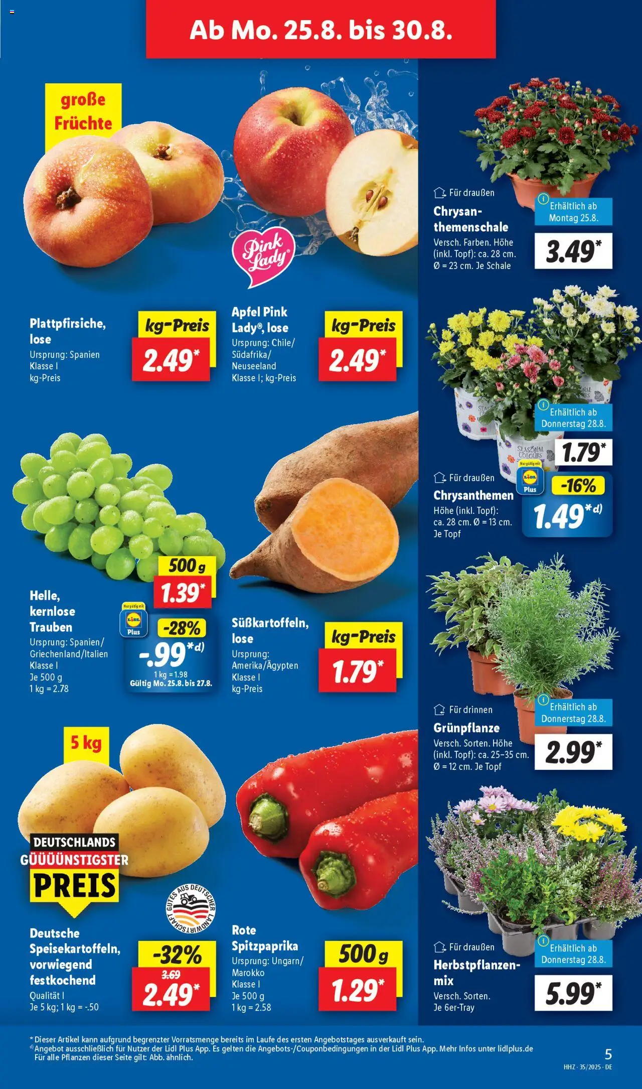 Lidl Prospekt Gedern 	 - gültig ab dem 25.08.2025 | Seite: 5 | Produkte: Trauben, Äpfel