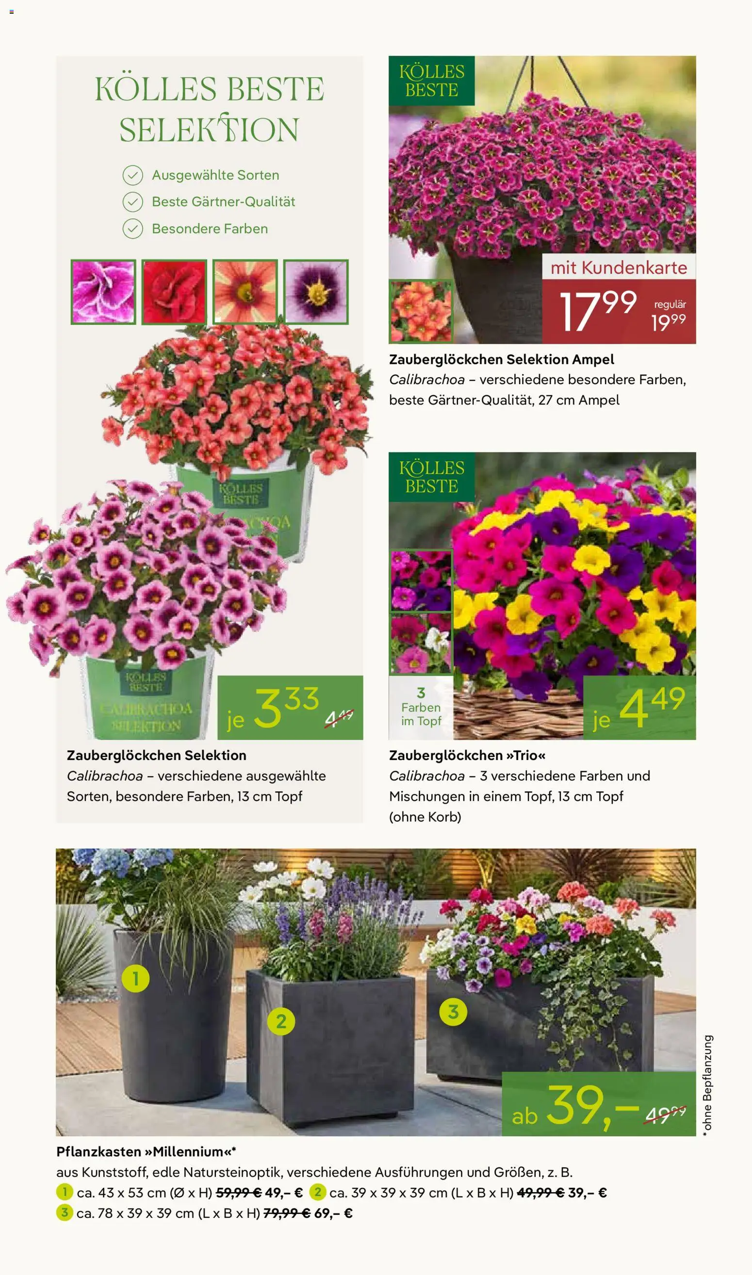 Pflanzen-Kölle Prospekt 	 – gültig ab 20.04.2026 | Seite: 2 | Produkte: Korb