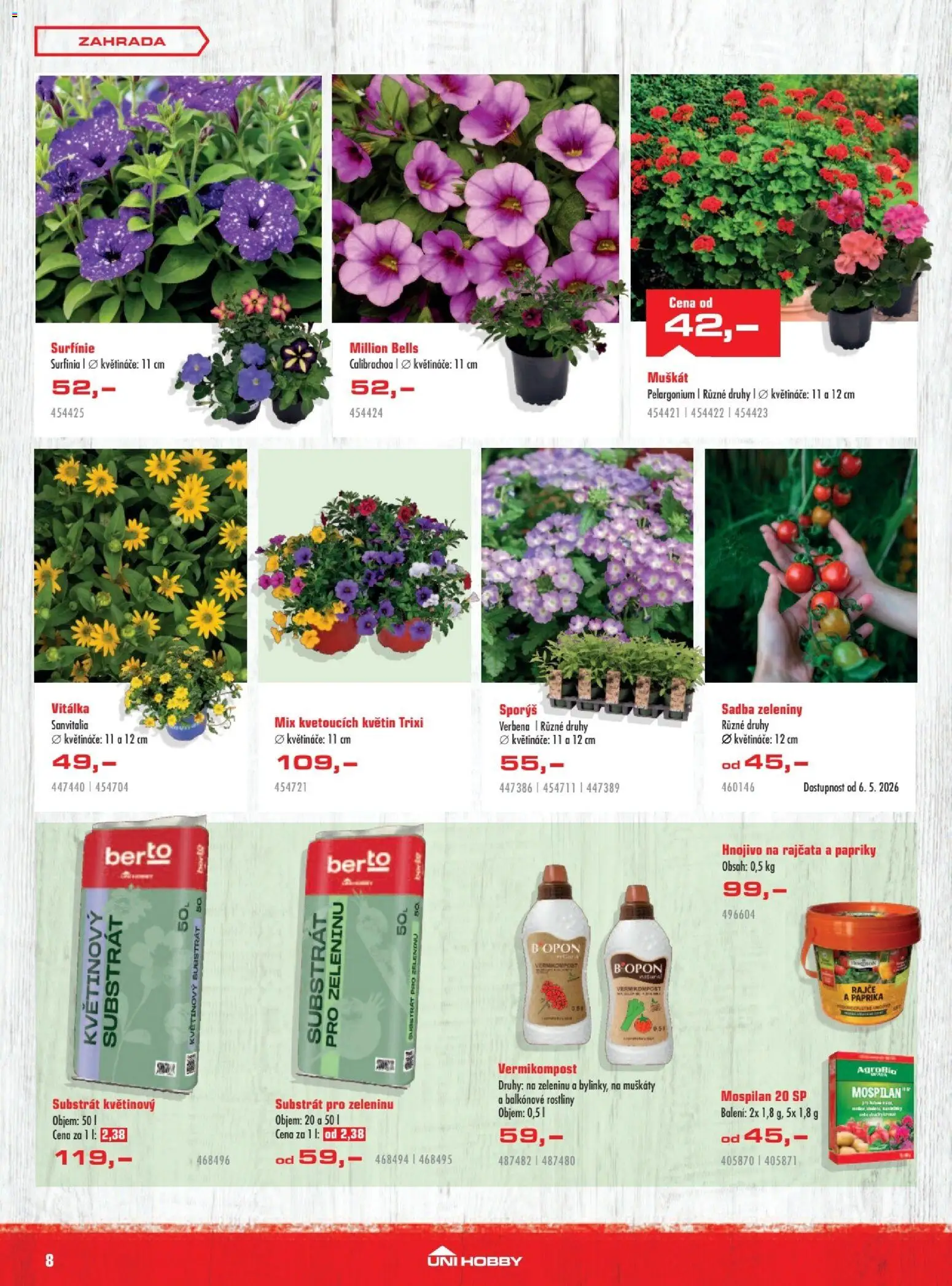 Uni Hobby leták od 30.04.2026 | Strana: 8 | Produkty: Muškáty, Květináče, Zahrada, Rajčata
