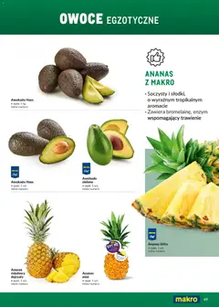 Pogląd oferty "Makro Gazetka - Ultra fresh" - ważna od 01.03.2026 | Strona: 49 | Produkty: Ananas, Awokado, Owoce