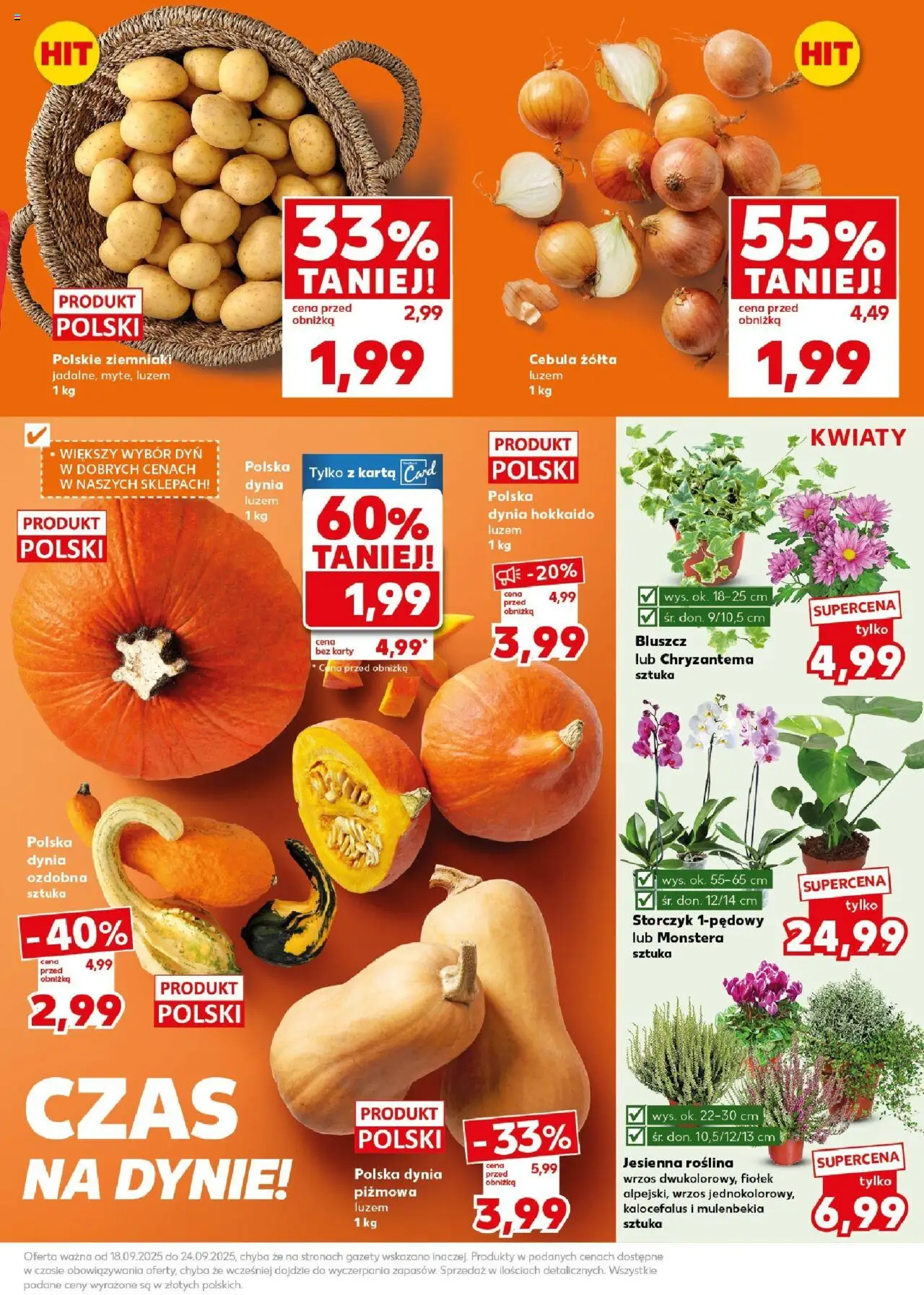 Kaufland gazetka - Super Sobota od 20.09.2025 | Strona: 9 | Produkty: Karta, Dynia, Wrzos, Storczyk