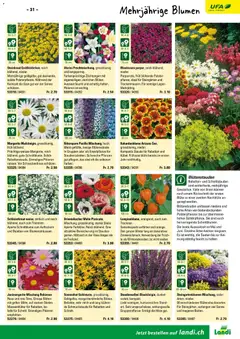 Landi ( Deaktivovane pre Letakomat )  Aktionen ab 07.01.2026 gültig | Seite: 33 | Produkte: Vase