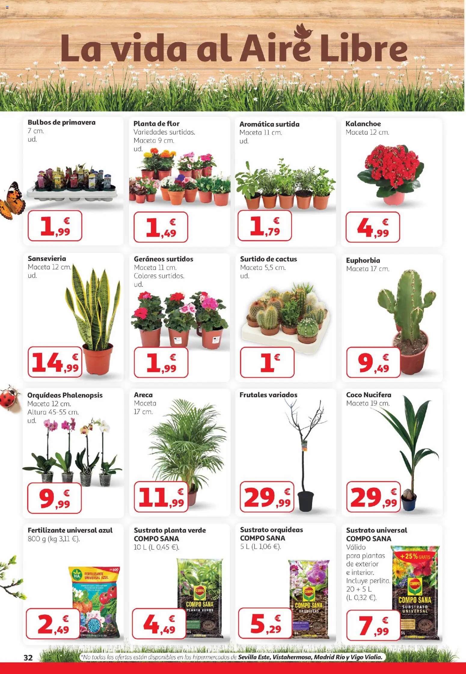 Alcampo -  Canarias │ válido desde el 26.02.2026 | Página: 32 | Productos: Τυρόπιτα, Maceta