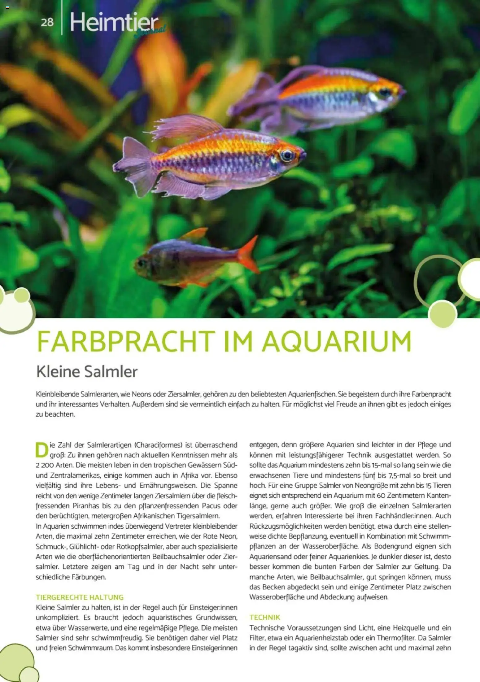 zookauf - Heimtier Journal – gültig ab 01.12.2025 | Seite: 28 | Produkte: Fleisch