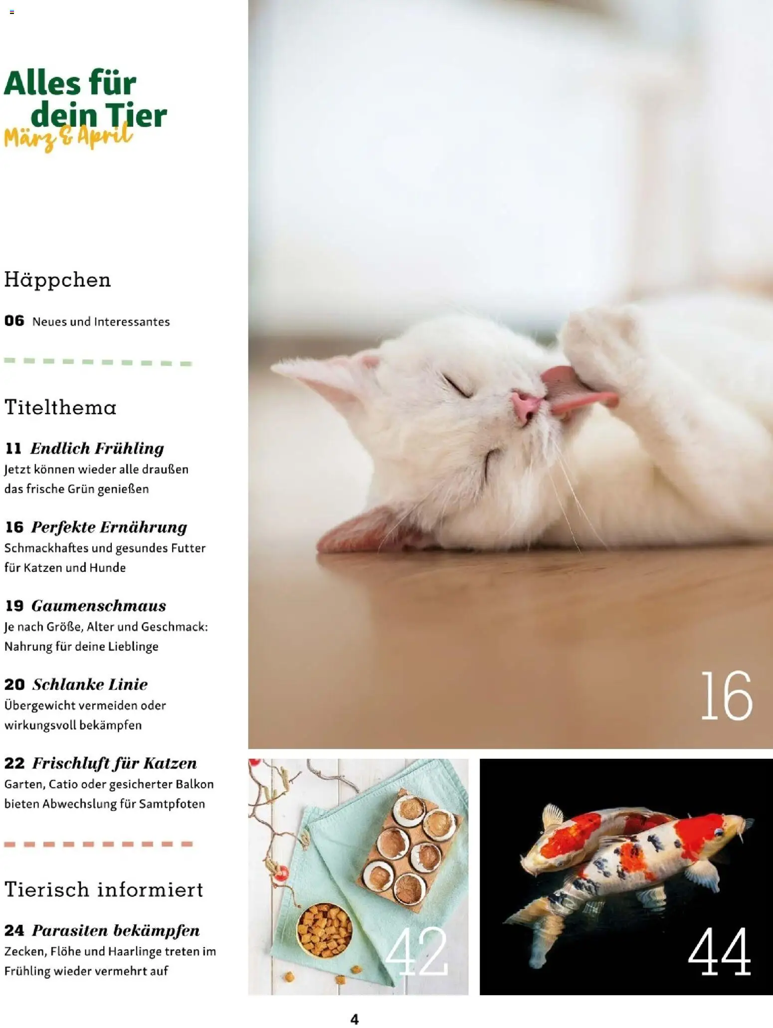 Die besten Angebote | Fressnapf Friends 02/26 ab 01.03.2026 | - Jetzt stöbern! | Austria