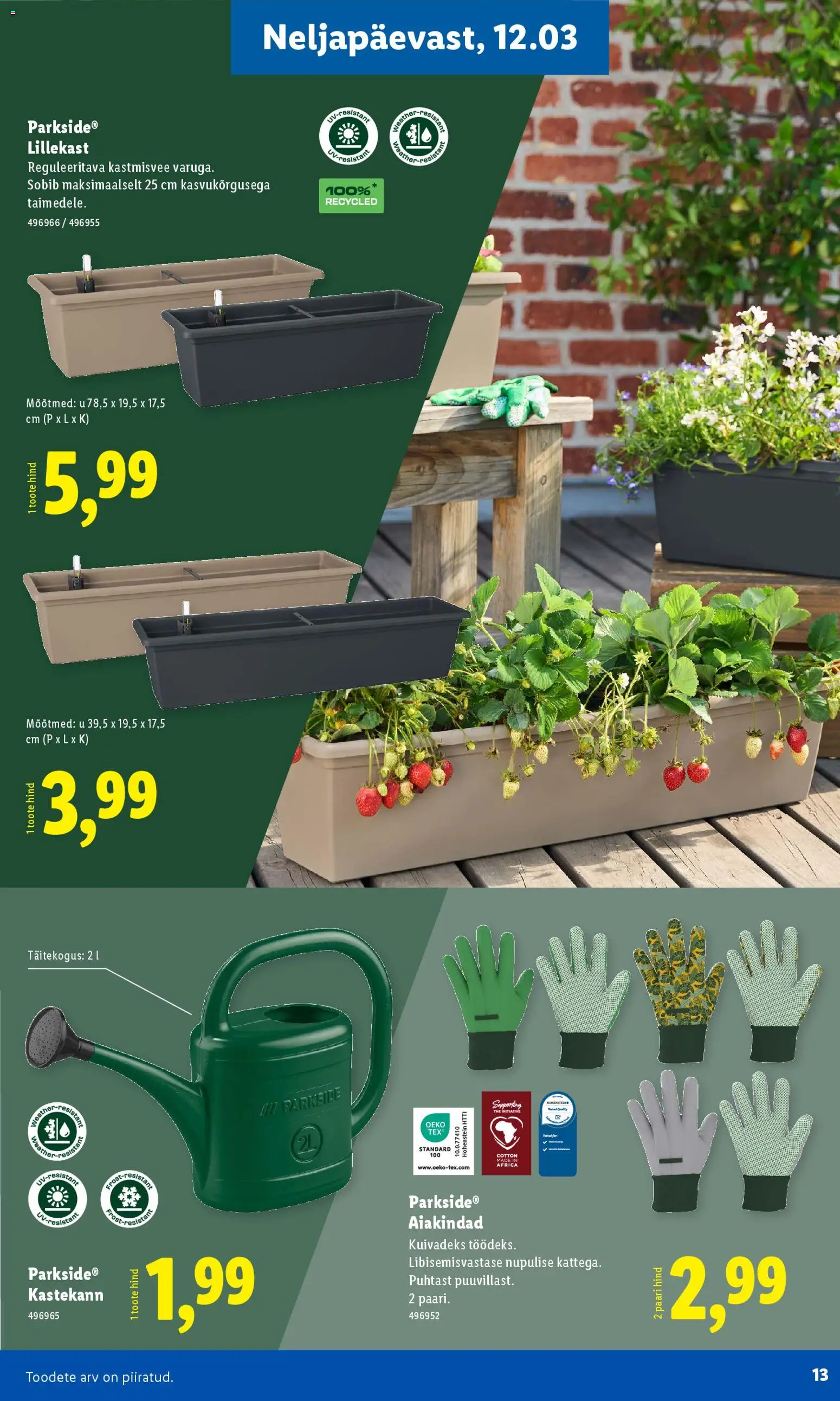 {H1} | Lehekülg: 13