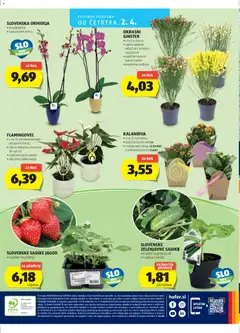 Katalog Hofer - Pregled kataloga iz trgovine Hofer SI, vrijedi od 25.03.2026 | Stranica: 28