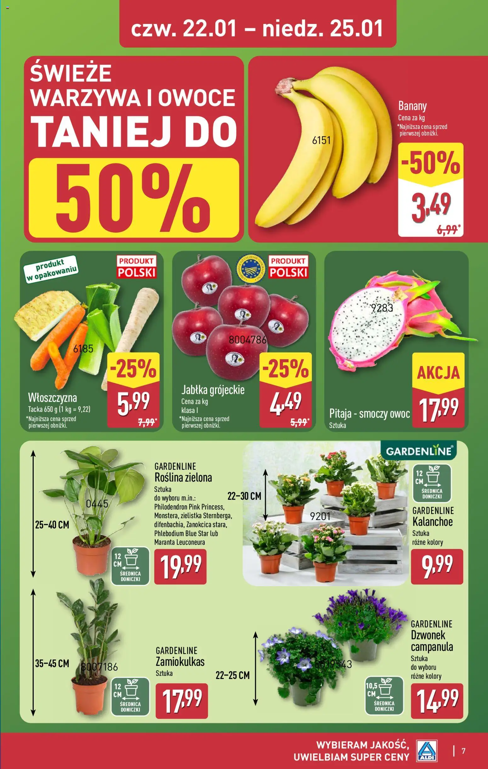 Aldi Gazetka - Okazje na weekend od 22.01.2026 | Strona: 7 | Produkty: Zamiokulkas, Pitaja, Kalanchoe, Banany