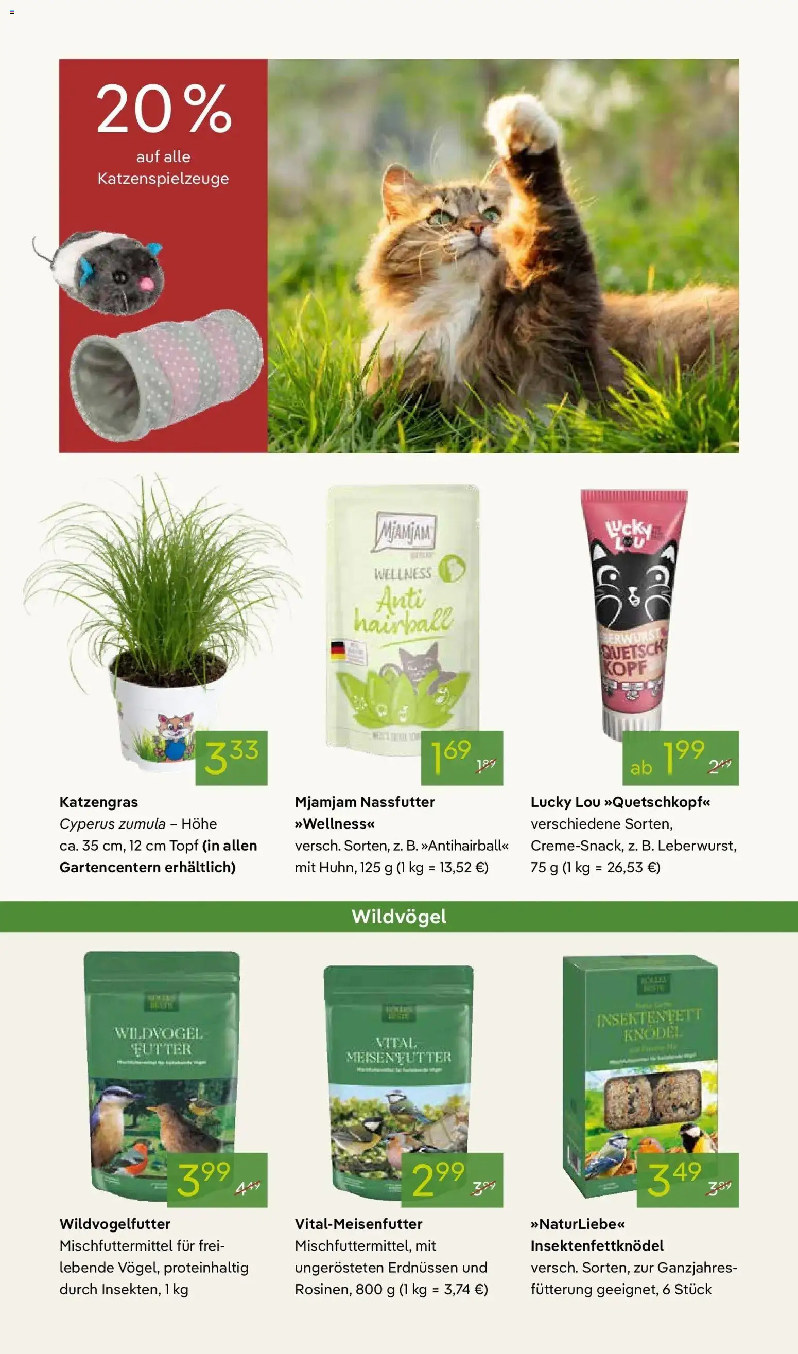 Pflanzen-Kölle - Pflanzen-Kölle: Weltfrauentag – gültig ab 02.03.2026 | Seite: 15