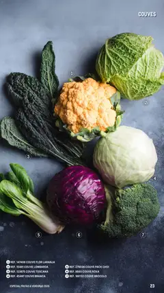 Pré-visualização Makro Especial Frutas e Verduras 2026 válido de 06.03.2026 | Página: 23 | Produtos: Couve