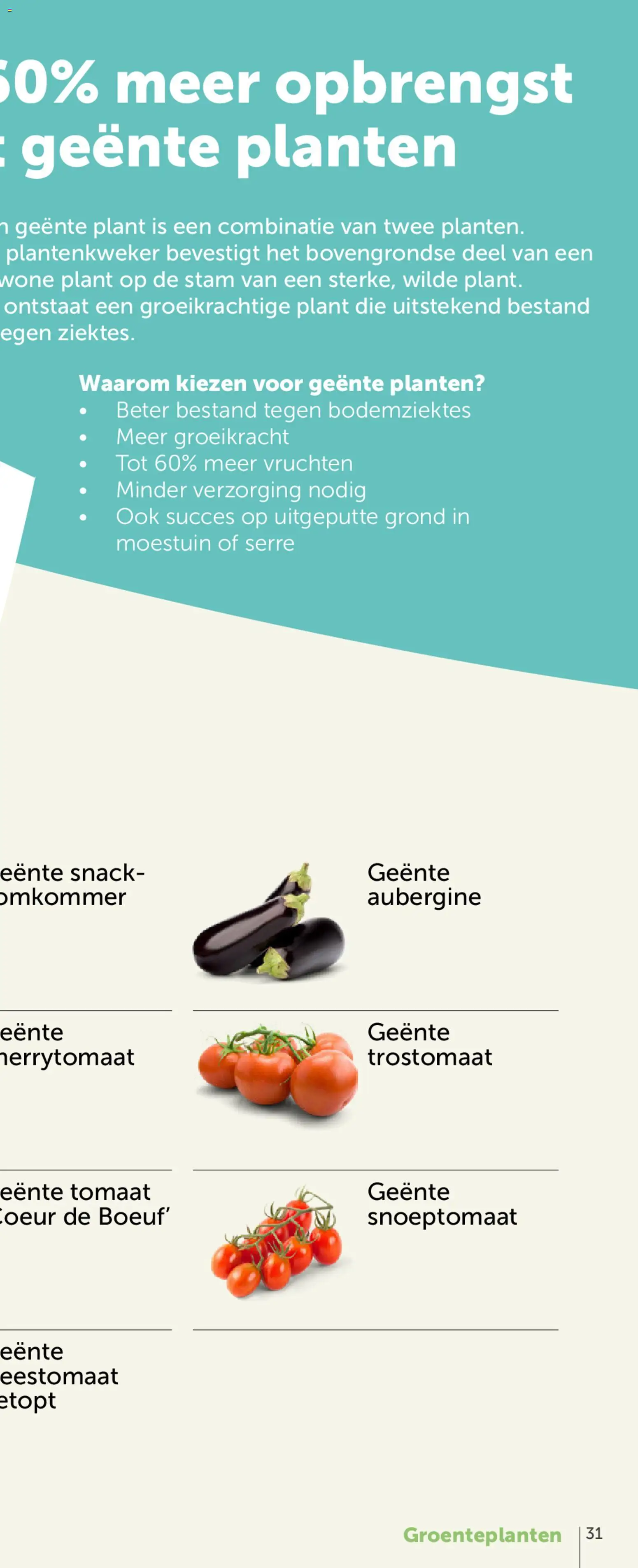 {H1} | Pagina: 61 | Producten: Antipasti, Tomaat