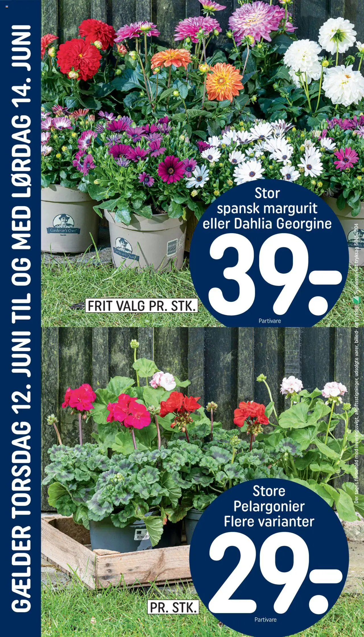 Rema 1000 Tilbudsavis gyldig fra 10.06.2025 | Side: 28