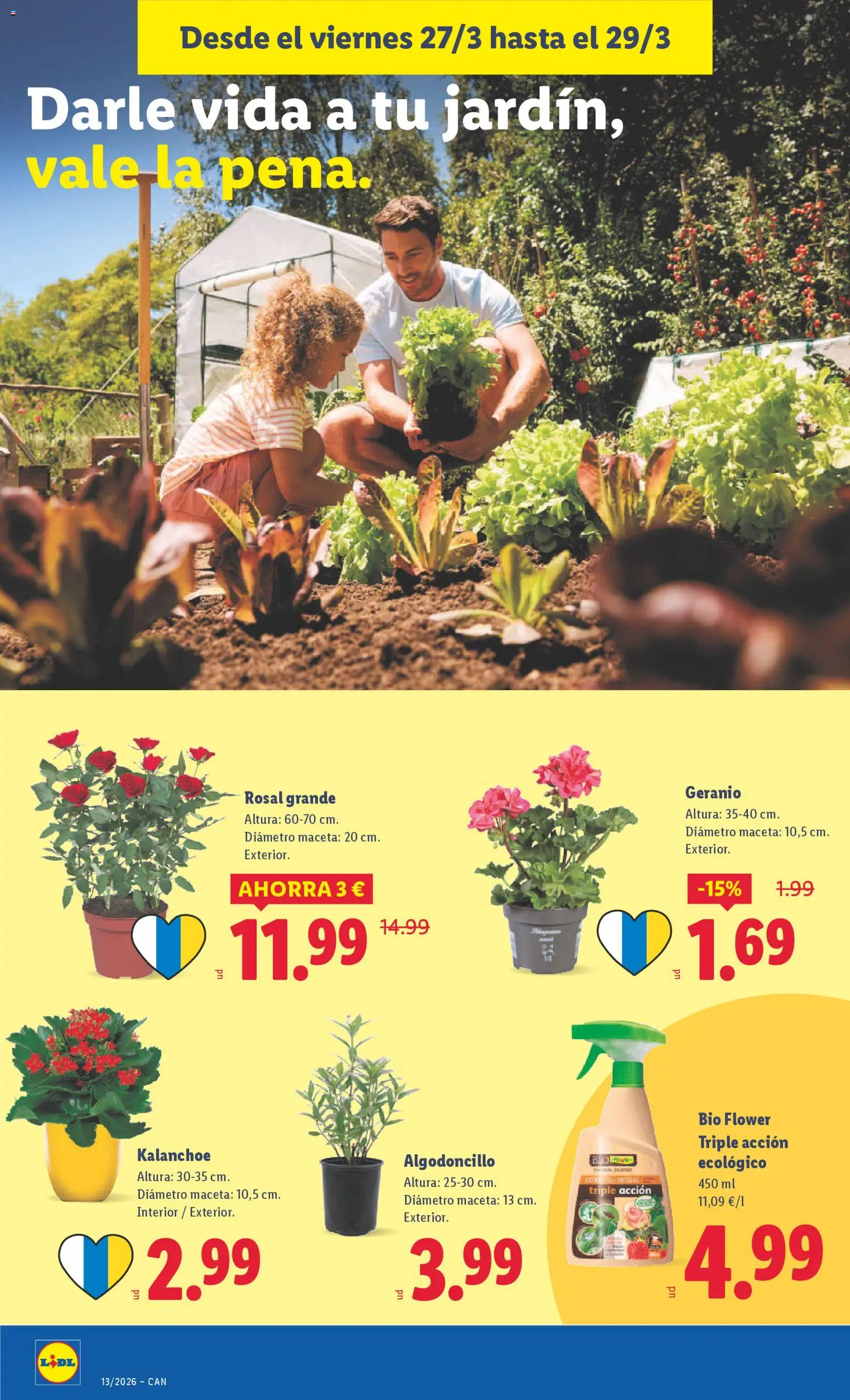 Lidl folleto │ válido desde el 23.03.2026 | Página: 30 | Productos: Maceta