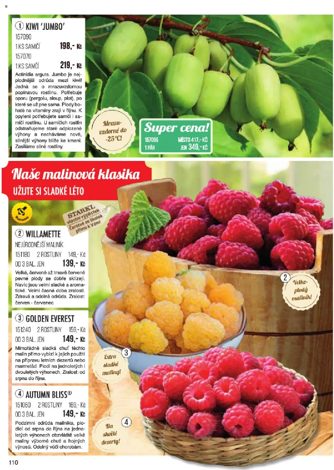Starkl katalog jaro 2024 od 06.01.2025 | Strana: 110 | Produkty: Kiwi, Vitamíny, Maliny, Rostliny