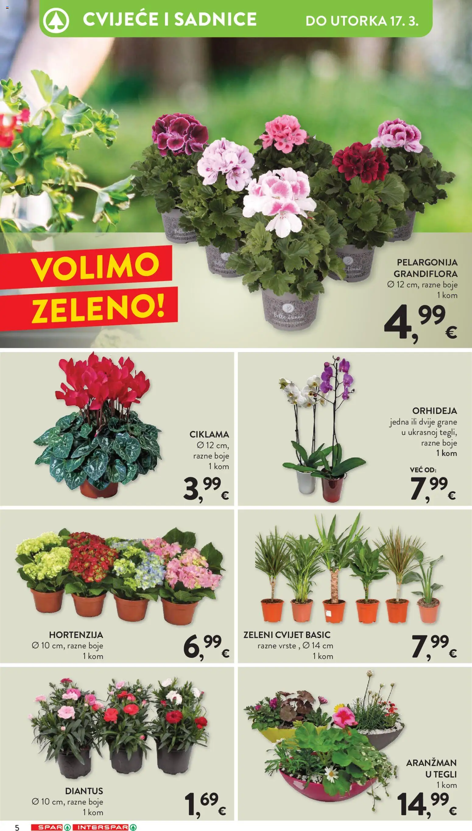 Interspar katalog | vrijedi od 18.02.2026 | Stranica: 5 | Proizvodi: Cvijeće, Orhideja