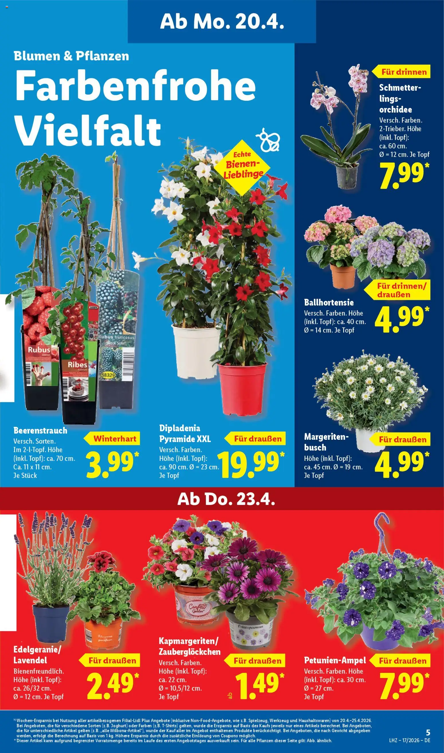 Lidl Prospekt – gültig ab 20.04.2026 | Seite: 11 | Produkte: Gewicht, Joghurt, Blumen, Lavendel
