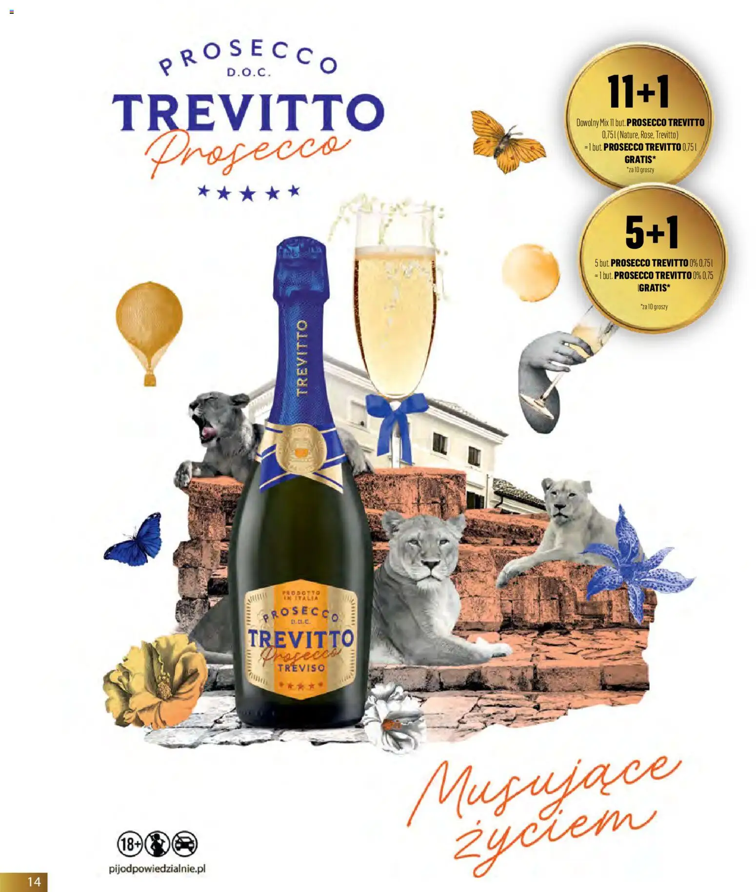 Eurocash gazetka - Horeca od 01.03.2026 | Strona: 14 | Produkty: Prosecco