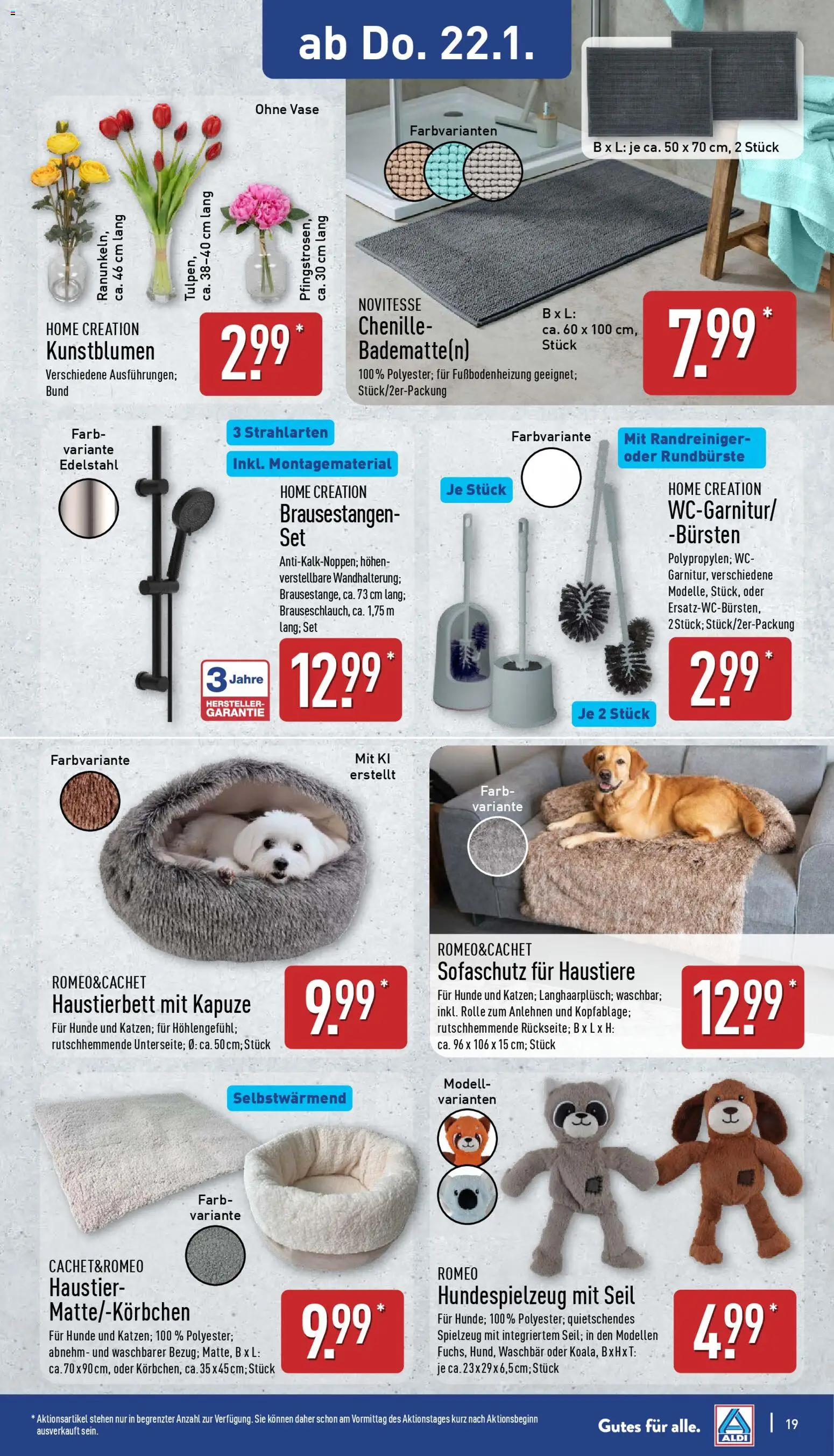 Aldi Prospekt 	 – gültig ab 19.01.2026 | Seite: 19 | Produkte: Vase, Home creation