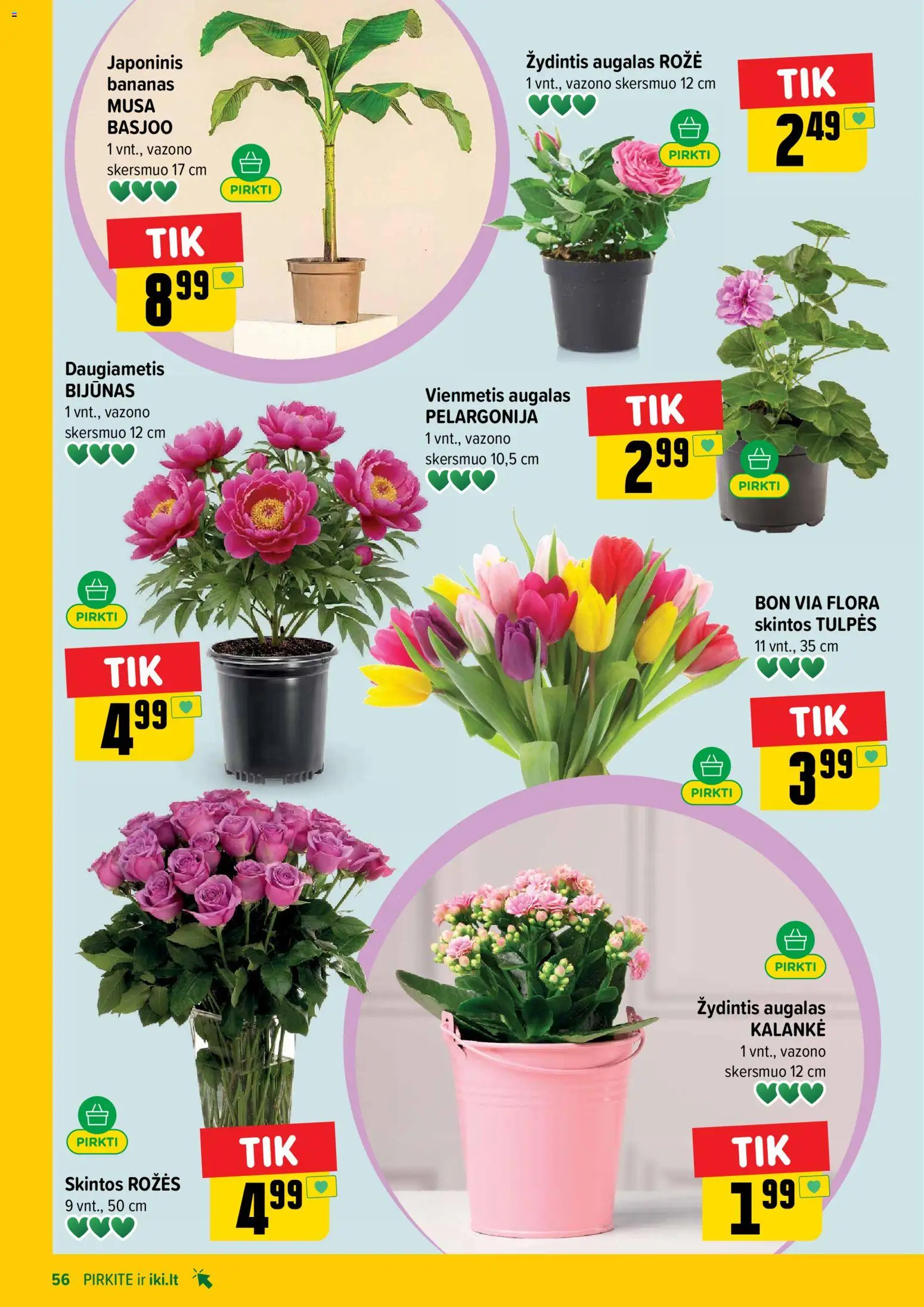 IKI akcijos nuo 20.04.2026 | Puslapis: 56