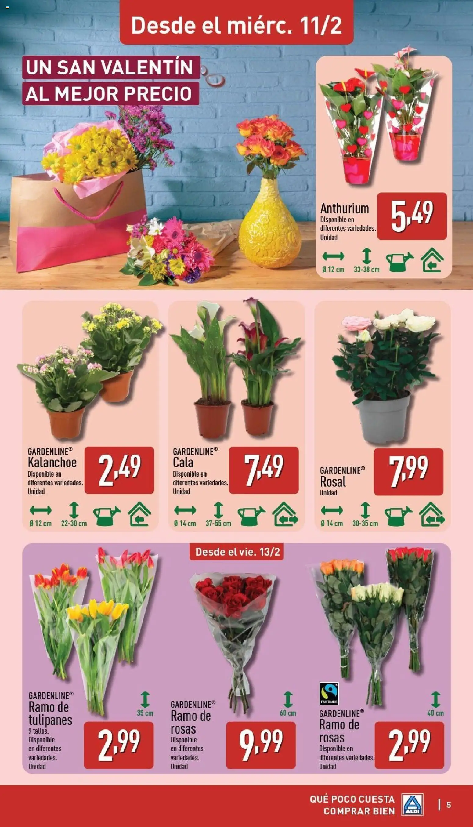 Aldi folleto Península │ válido desde el 09.02.2026 | Página: 5