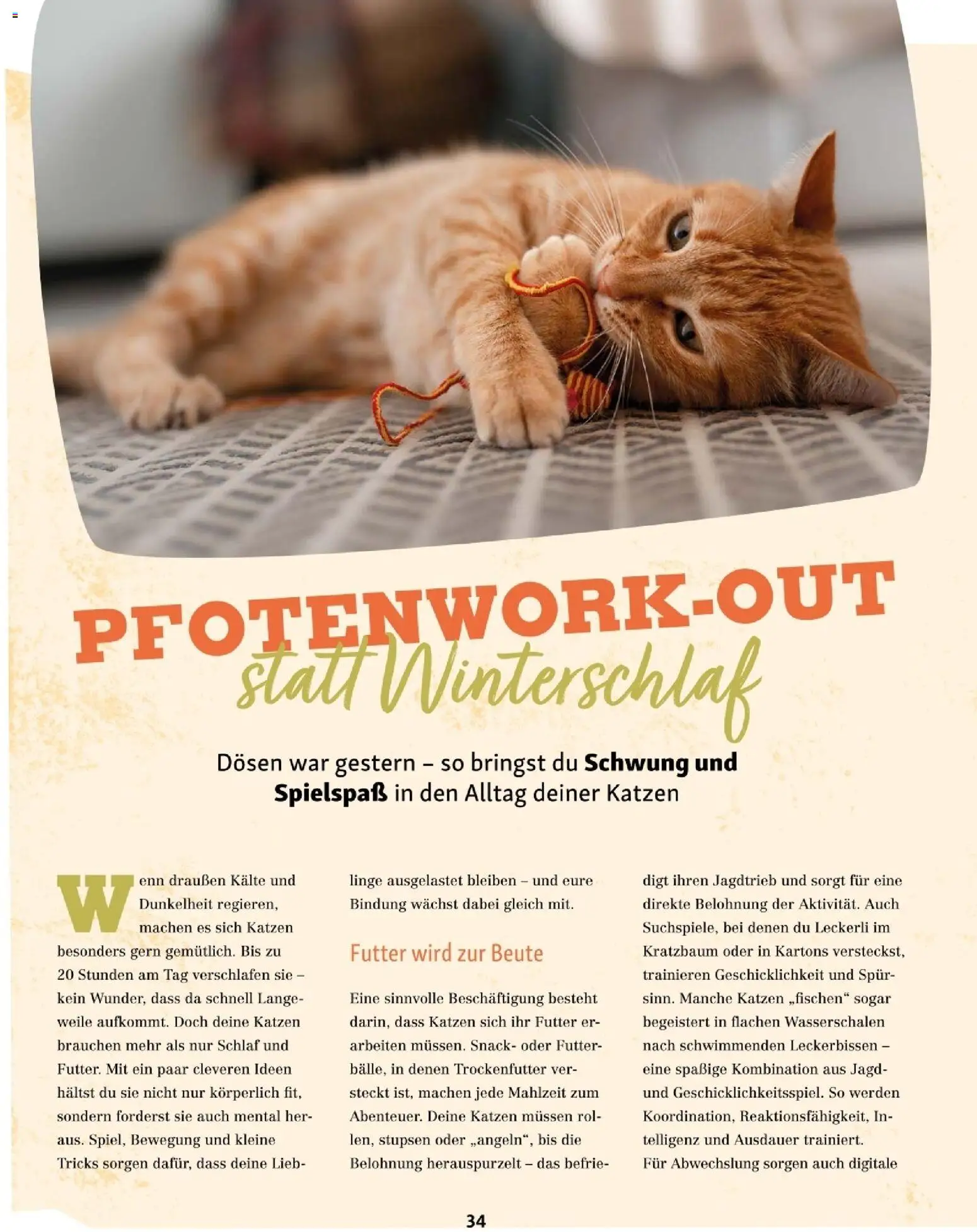 Fressnapf Friends 01/26 gültig ab 01.01.2026 | Seite: 34