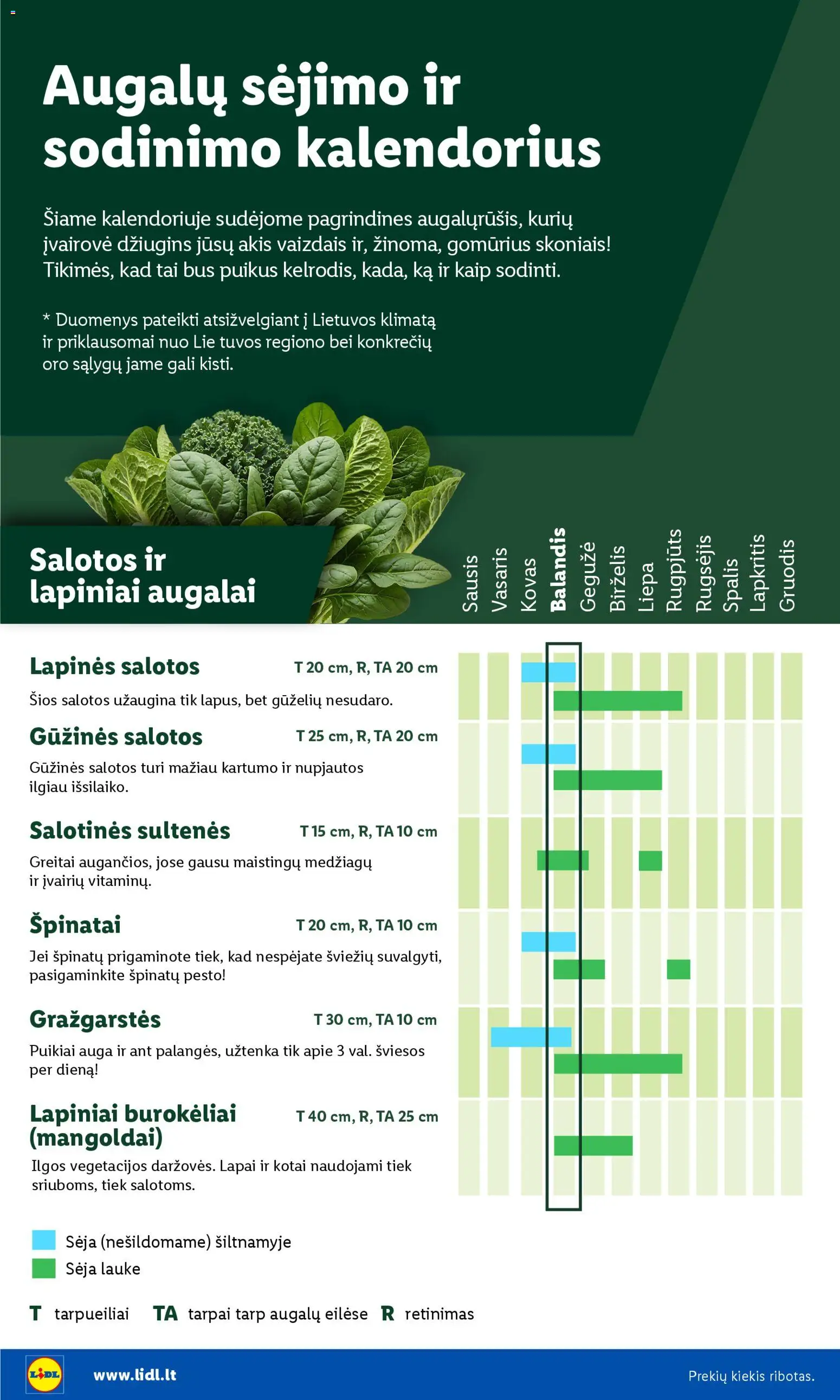 LIDL akcijos nuo 30.03.2026 | Puslapis: 4 | Prekių: Salotos