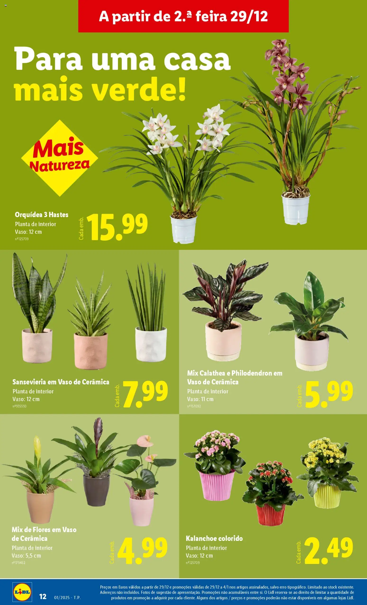 Lidl Novidades │ válido de 29.12.2025 | Página: 12 | Produtos: Flores, Vaso