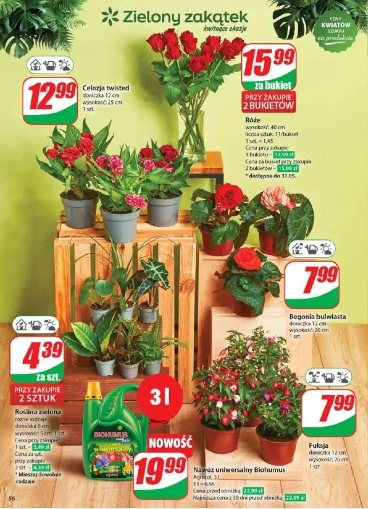 Dino Gazetka od 28.05.2025 | Strona: 56 | Produkty: Doniczka
