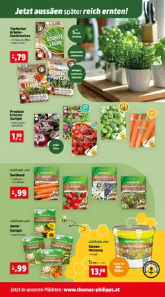 Thomas Philipps Flugblatt ab 23.03.2026 gültig | Seite: 6 | Produkte: Gemüse, Aubergine