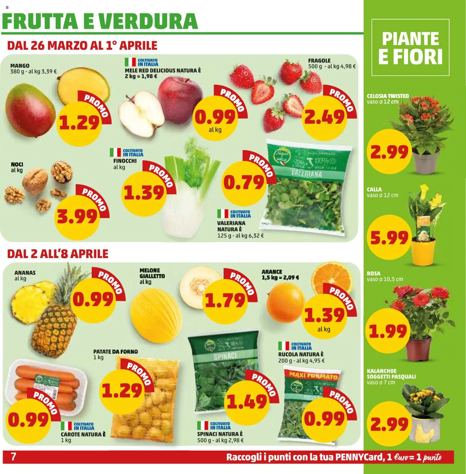 Volantino PENNY del 26.03.2026 | Pagina: 7 | Prodotti: Mango, Finocchi, Forno, Vaso