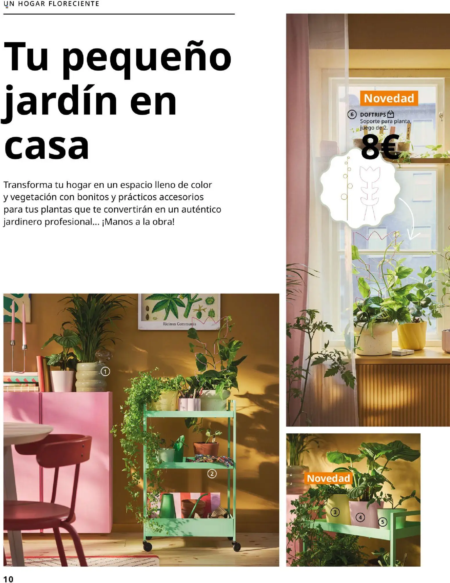 IKEA - Colecciones de primaver │ válido desde el 01.01.2026 | Página: 10 | Productos: Té