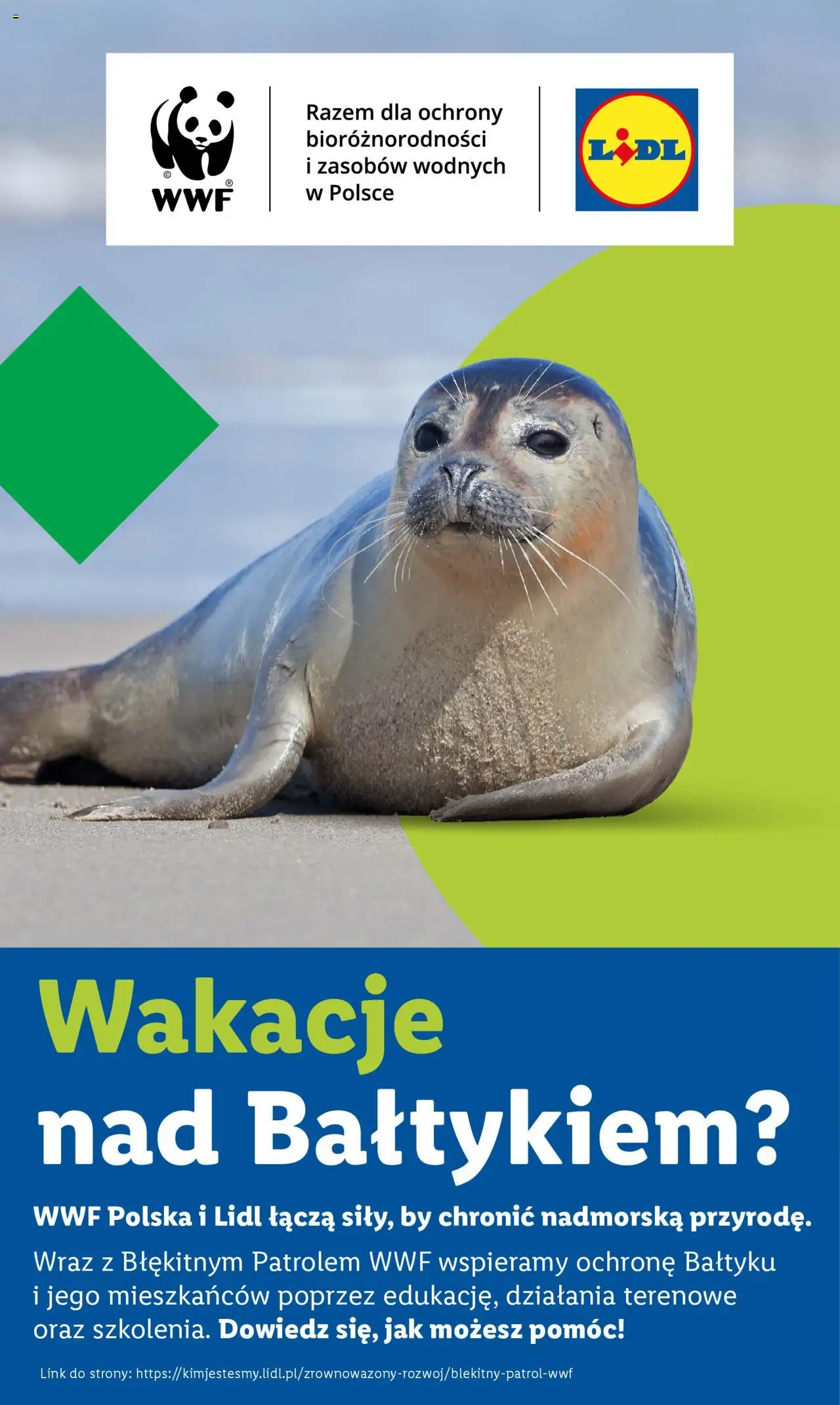 Lidl Katalog od 07.07.2025 | Strona: 44