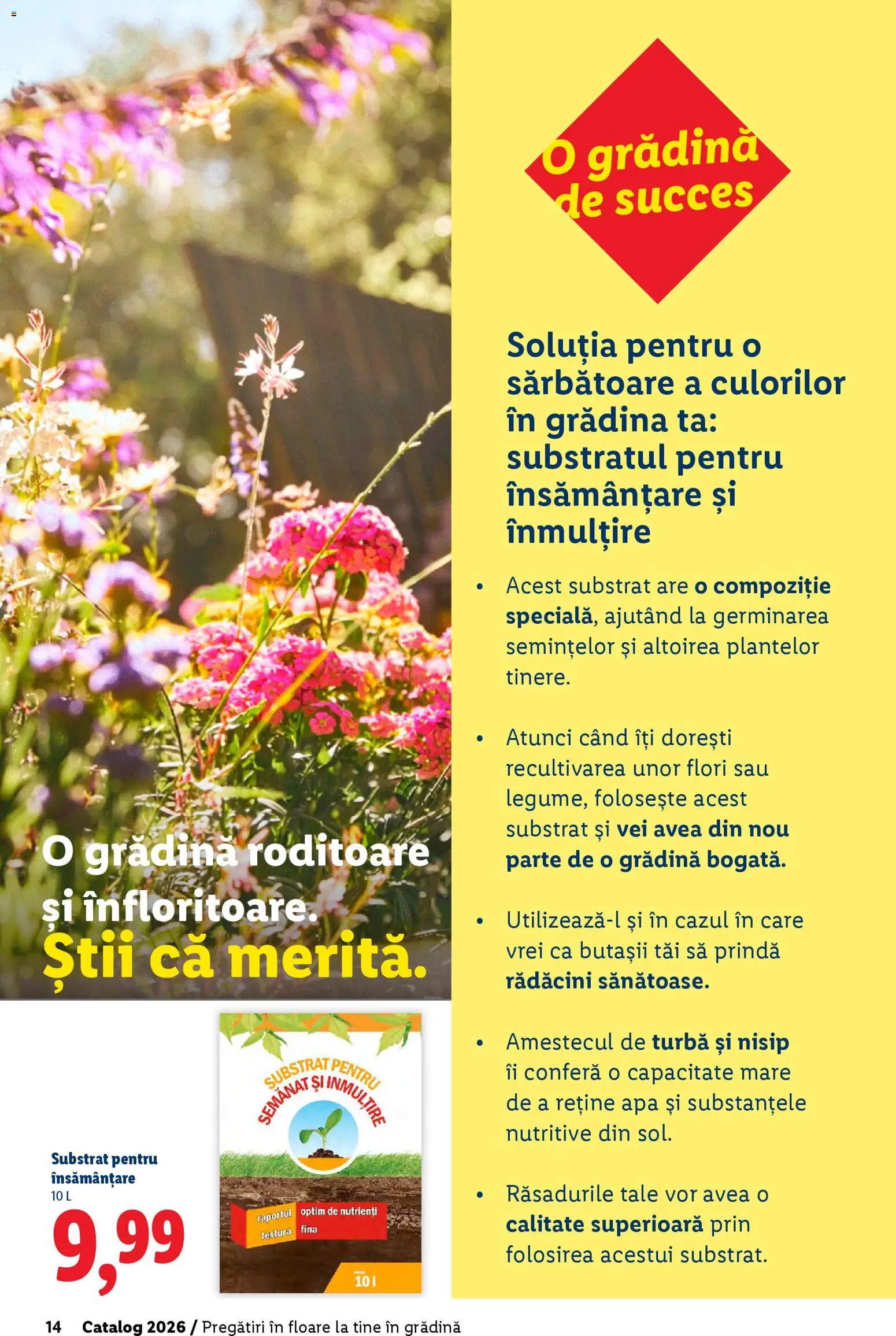 Noul catalog Lidl – valabil de la 19.02.2026 | Pagină: 14 | Produse: Apă