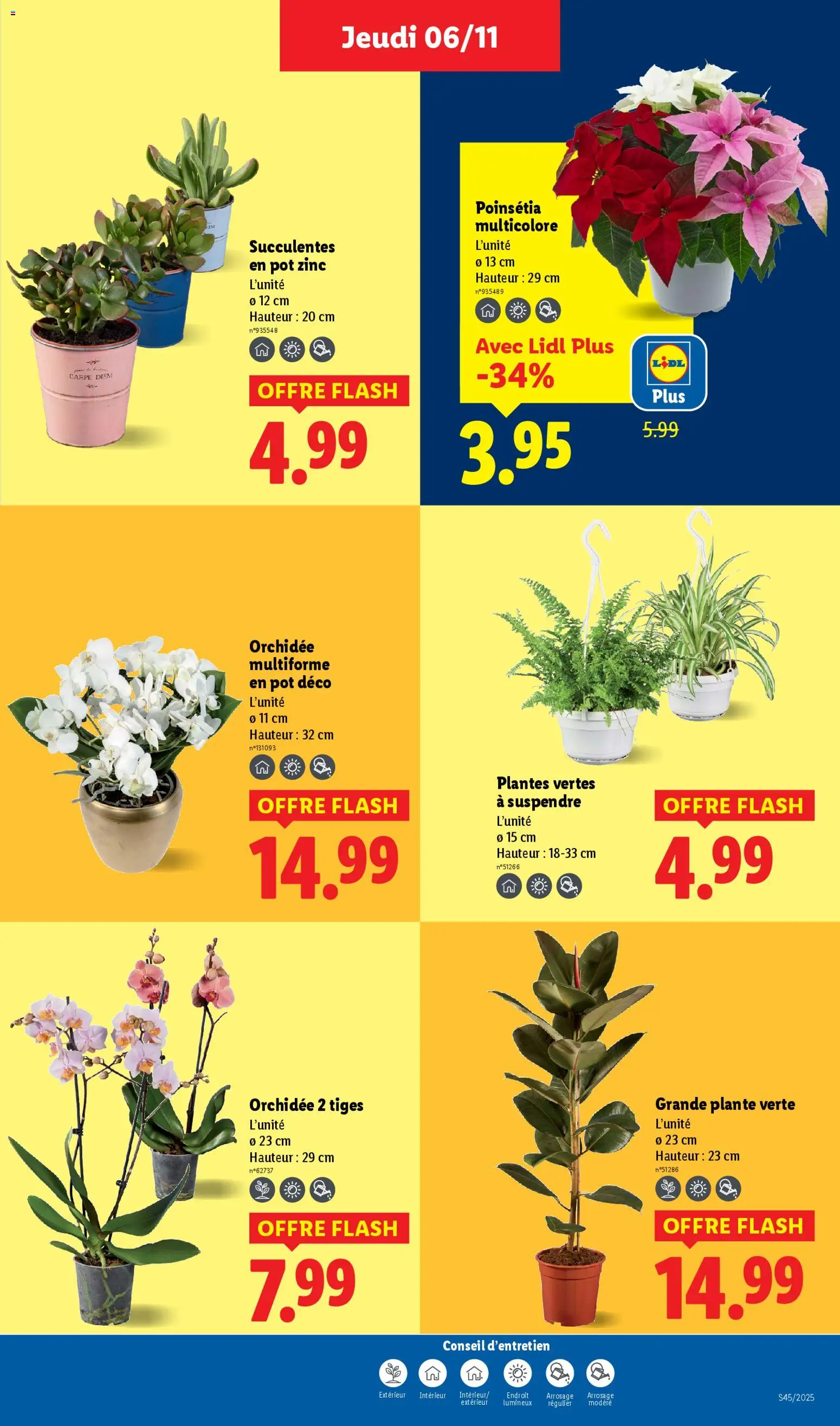 {H1} | Page: 39 | Produits: Plantes, Plante verte, Orchidée