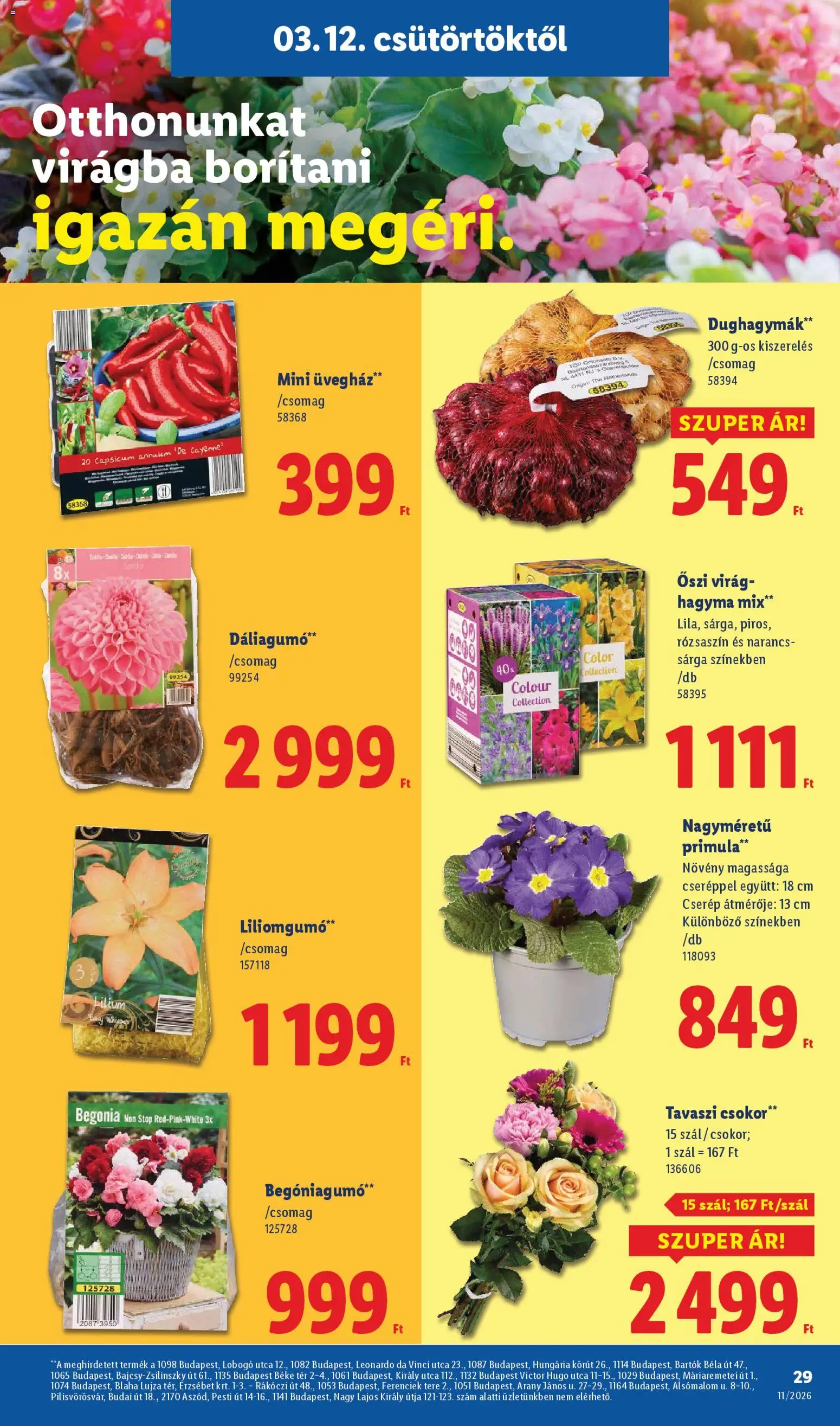 Lidl akciós ujság - amely érvényes a következő dátumtól: 12.03.2026 | Oldal: 29 | Termékek: Virag, Üvegház, Narancs, Hagyma
