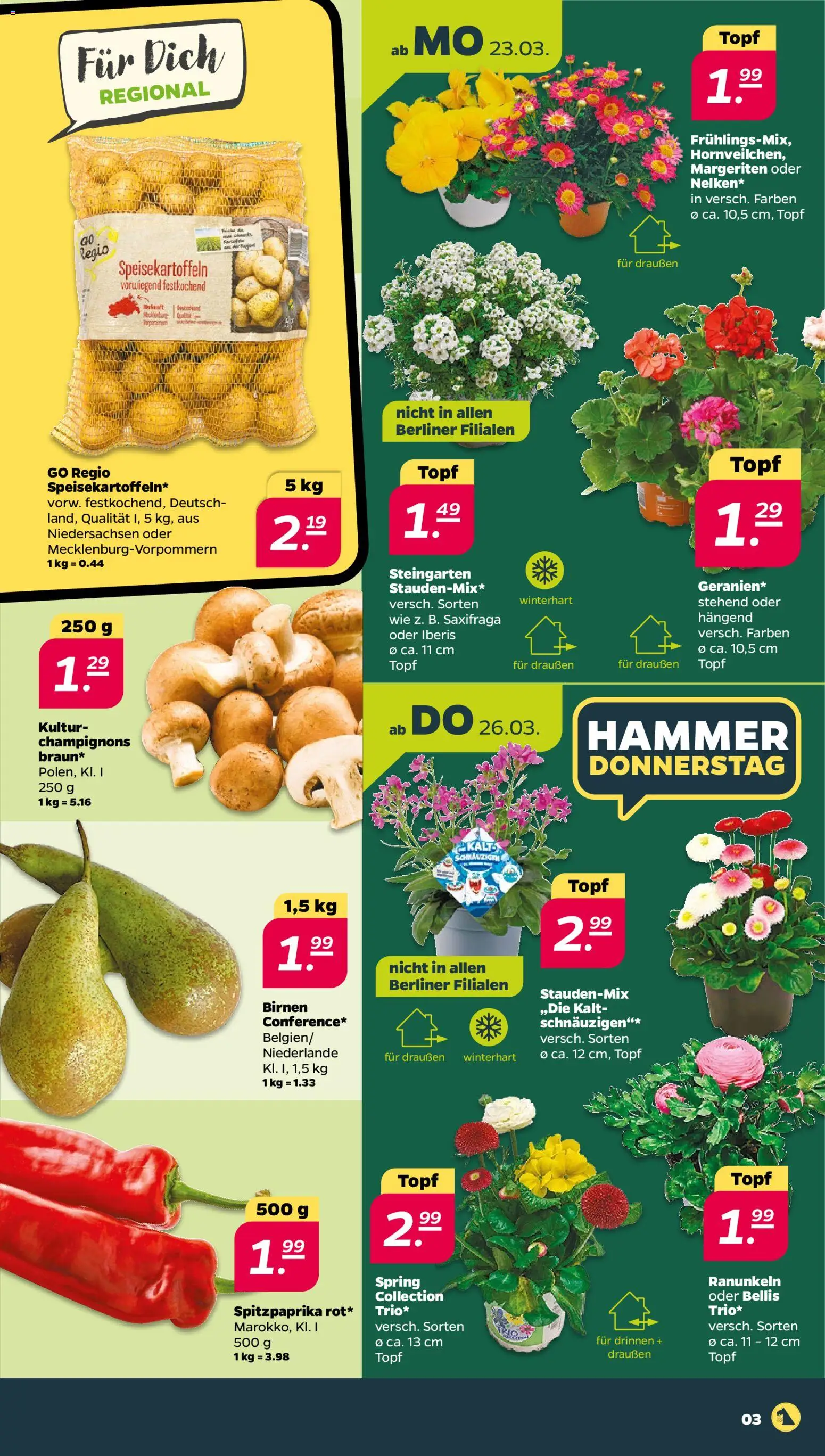 Netto Prospekt 	 – gültig ab 23.03.2026 | Seite: 3 | Produkte: Berliner, Champignons