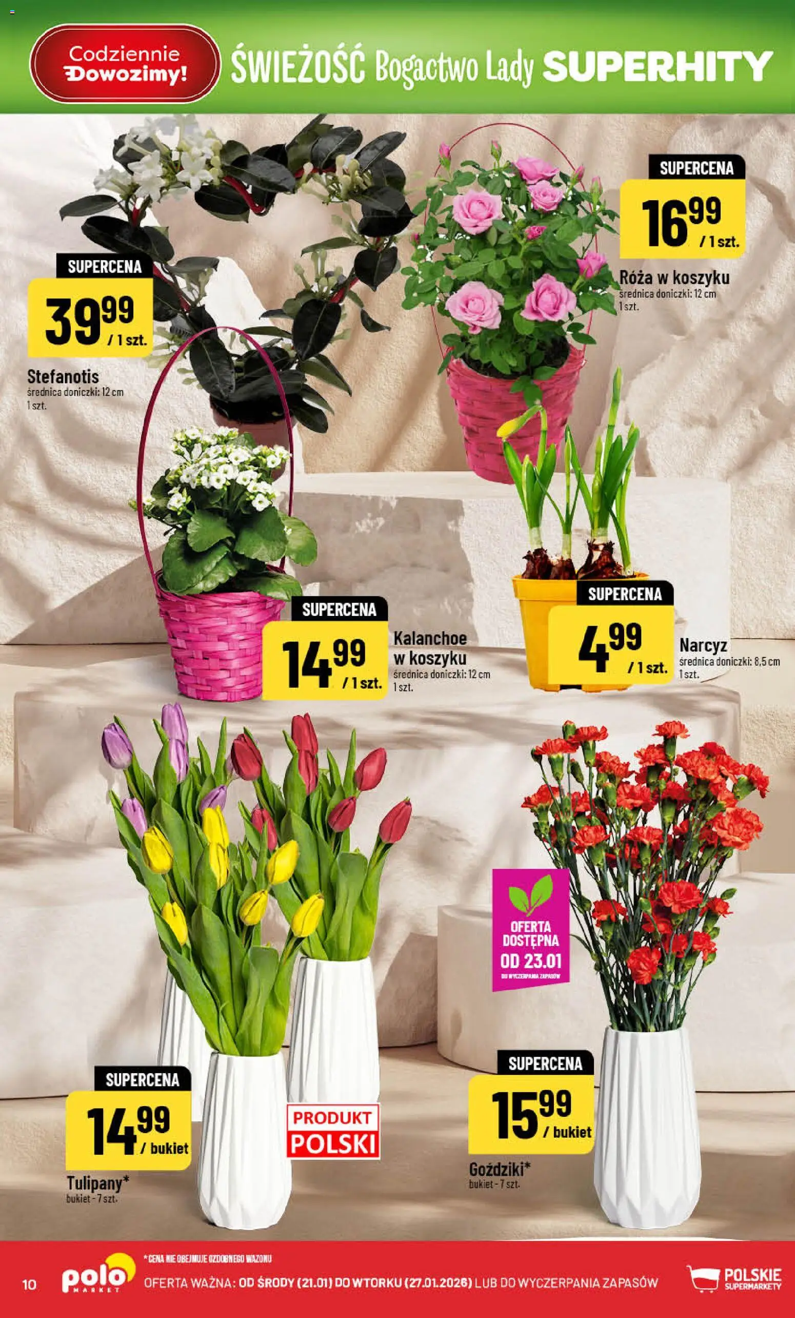 POLOmarket Gazetka od 21.01.2026 | Strona: 10 | Produkty: Doniczki, Kalanchoe