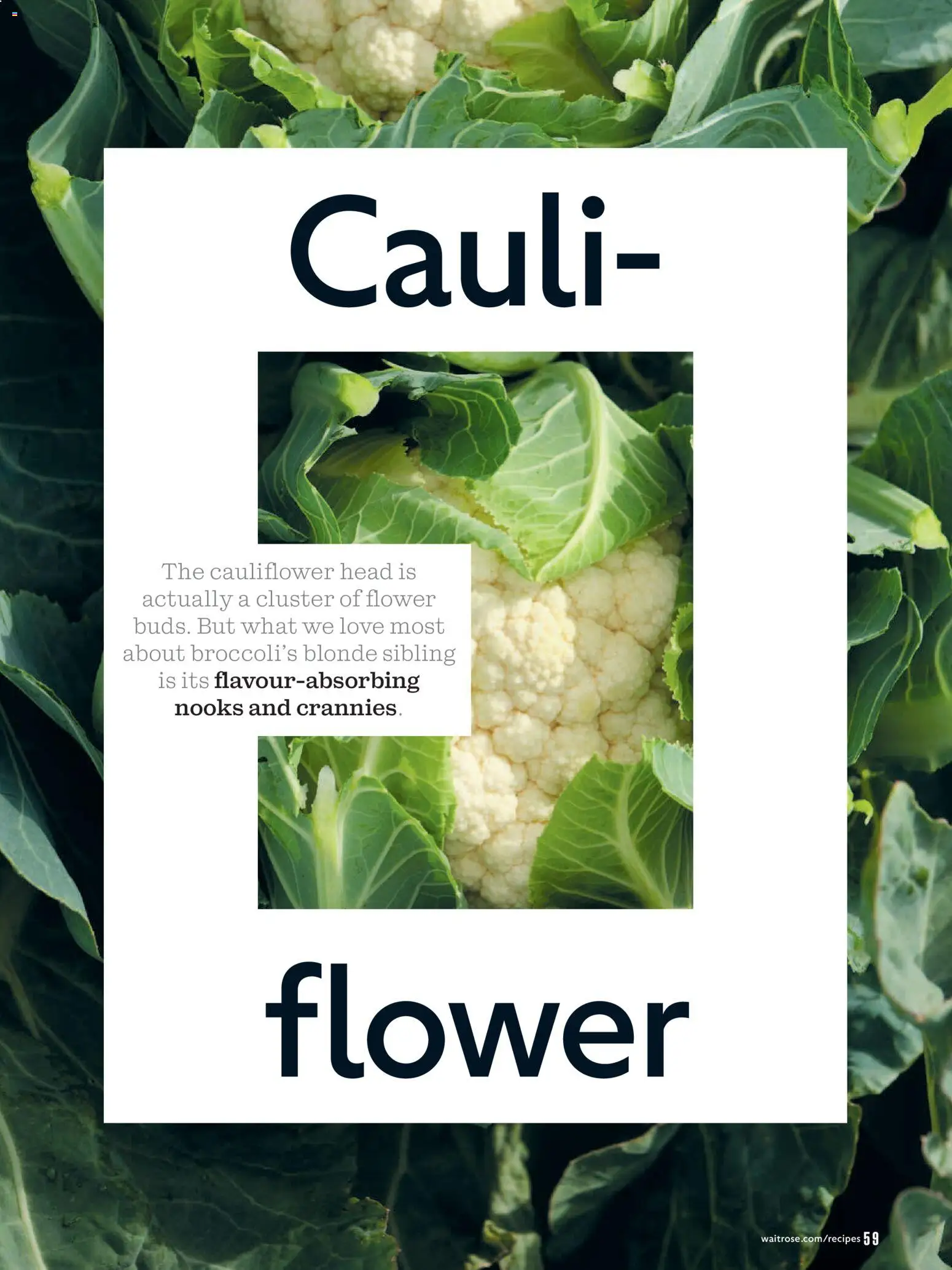 {H1} | Page: 59 | Products: Sertésköröm