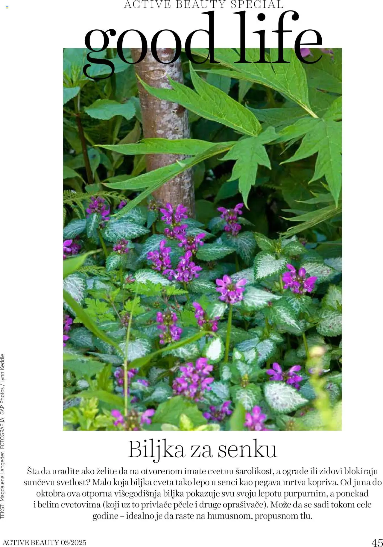 DM Drogerie katalog - važi od 05.08.2025 | Strana: 45