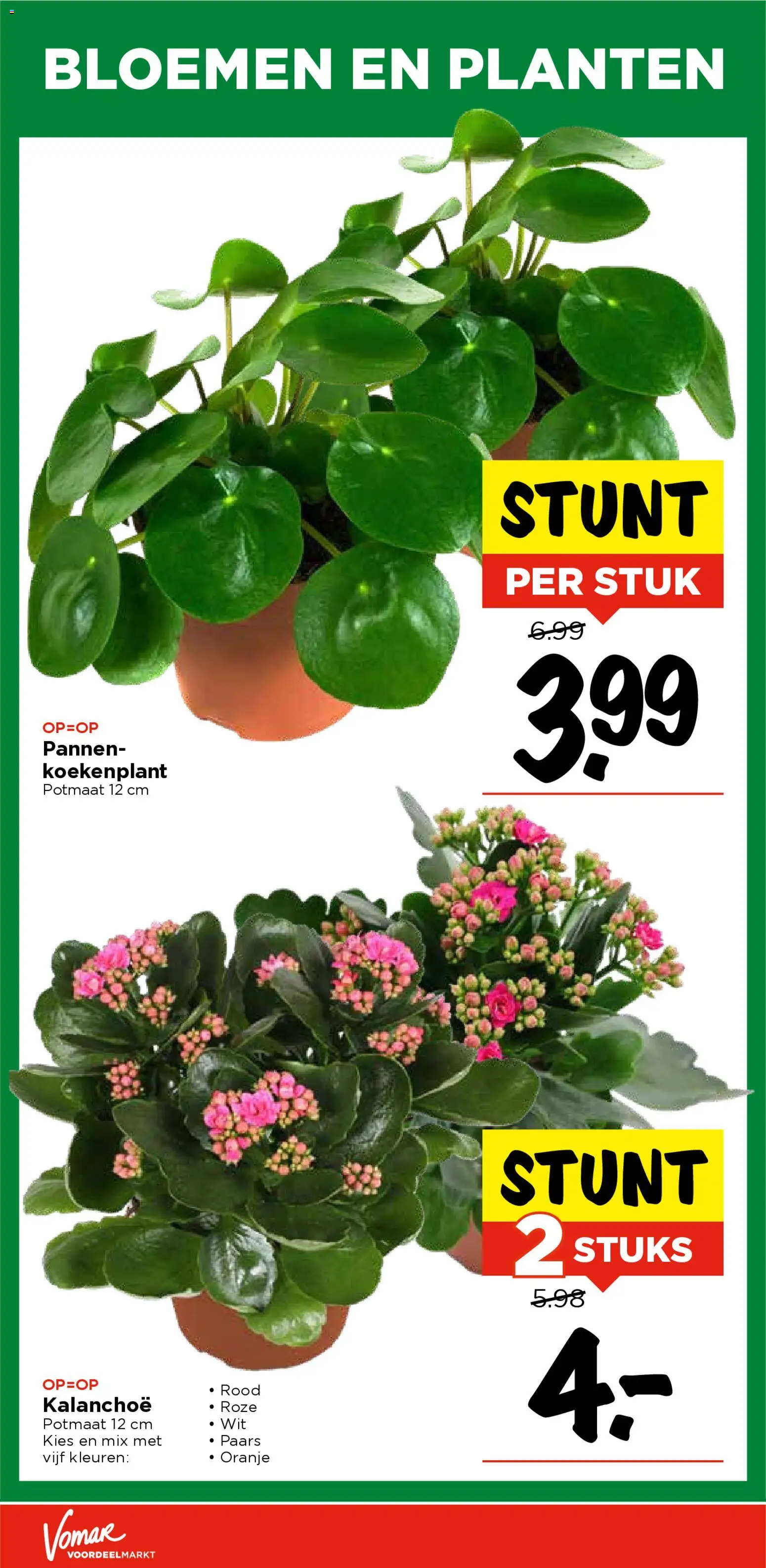 {H1} | Pagina: 36 | Producten: Livre pour enfants, Bloemen