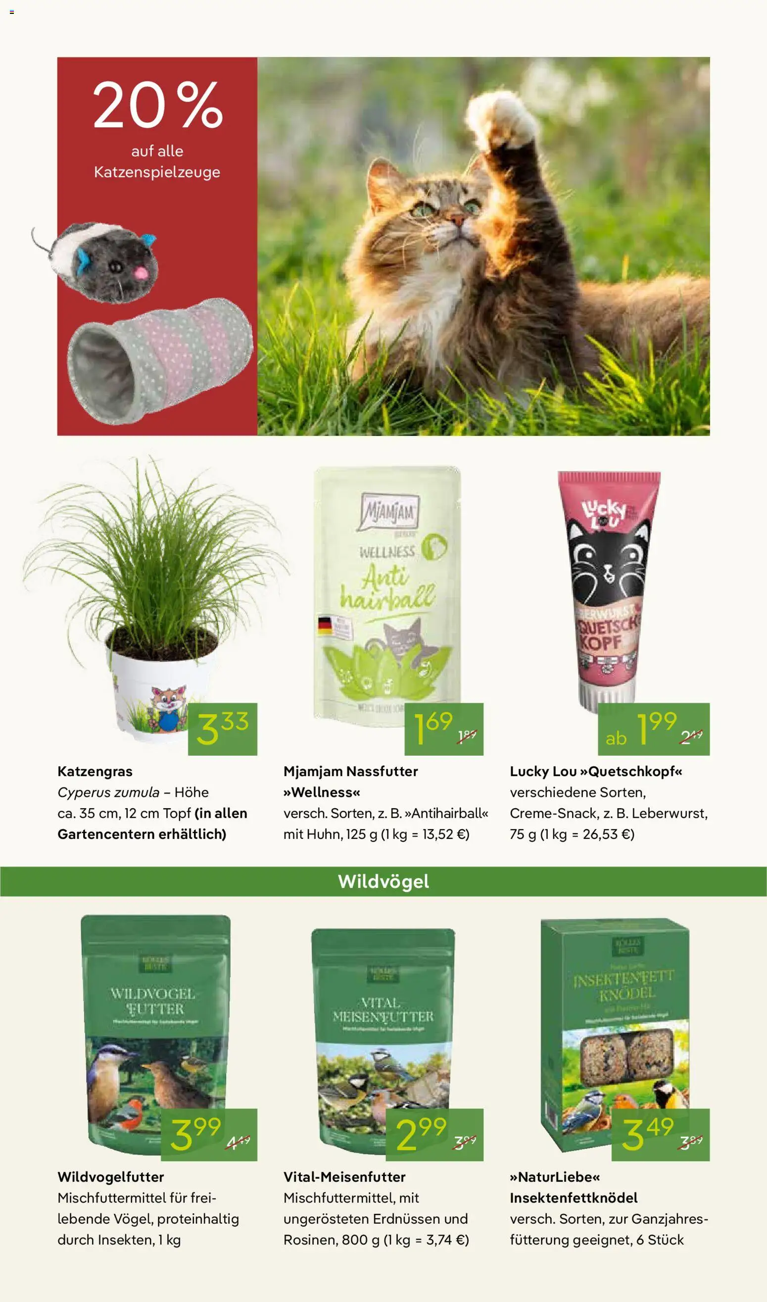 Pflanzen-Kölle Prospekt 	 – gültig ab 02.03.2026 | Seite: 15