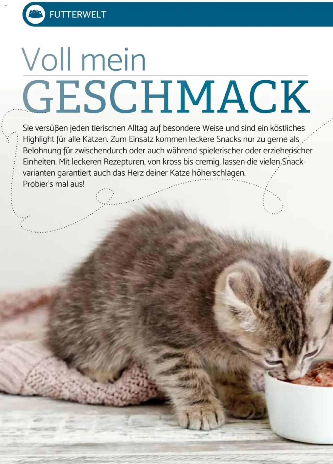 zookauf -Heimtier Journal Special - gültig ab dem 21.07.2025 | Seite: 10