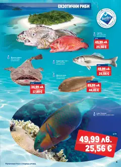 Преглед на METRO брошура - Кълве на изгодно - Офертите са валидни от 06.11.2025 | Страница: 5 | Продукти: Риба, Лаврак, Папагал
