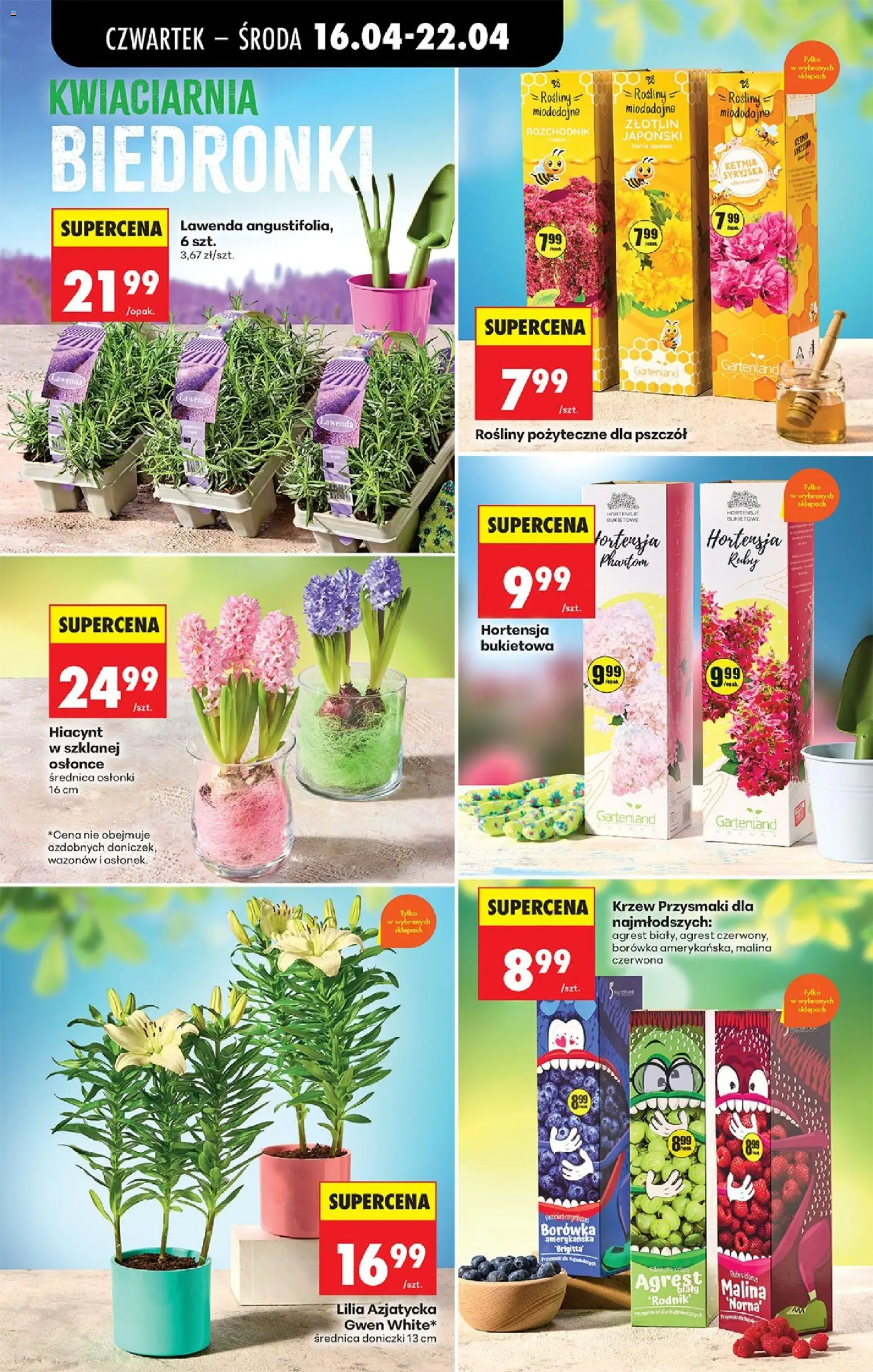 Biedronka gazetka od czwartku od 16.04.2026 | Strona: 43 | Produkty: Malina, Agrest, Rosliny, Doniczki