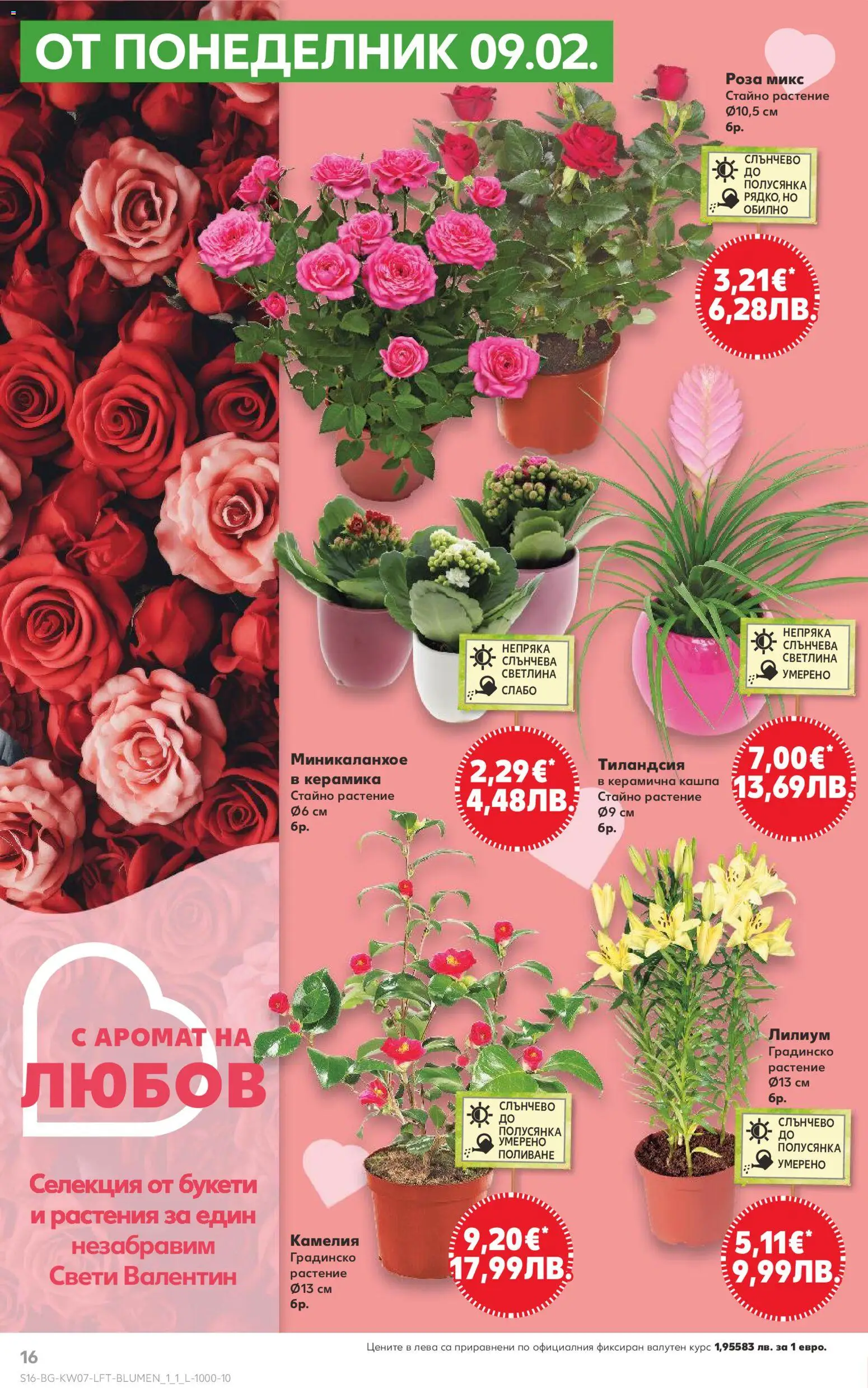 {H1} | Страница: 16