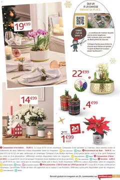 Jardiland - Prévisualisation de Jardiland catalogue valide à partir de 12.12.2025 | Page: 3 | Produits: Poinsettia, Plante verte, Table, Orchidée
